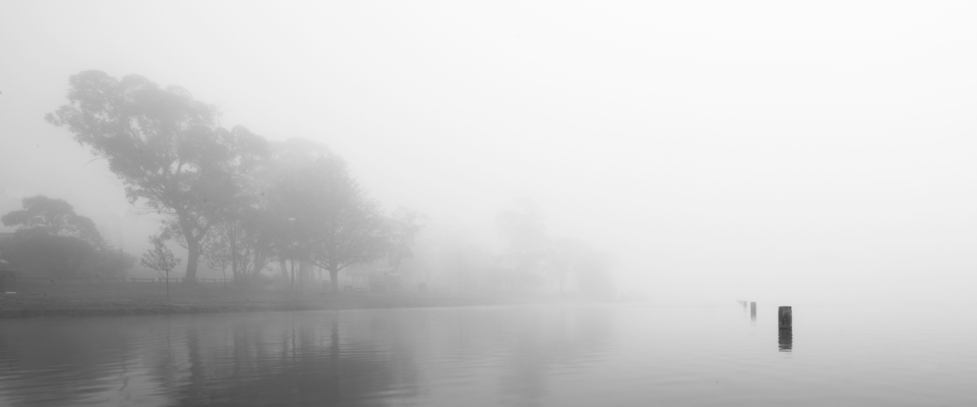 Misty Lake
